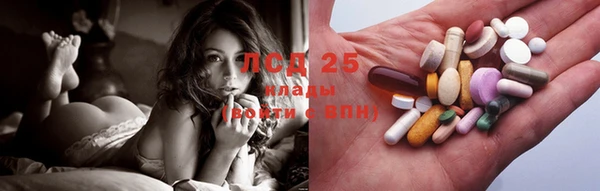 спиды Чердынь