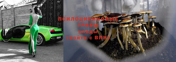дурь Михайловка