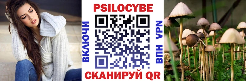 МЕГА   дарк нет какой сайт  Псилоцибиновые грибы Psilocybine cubensis  Оса 